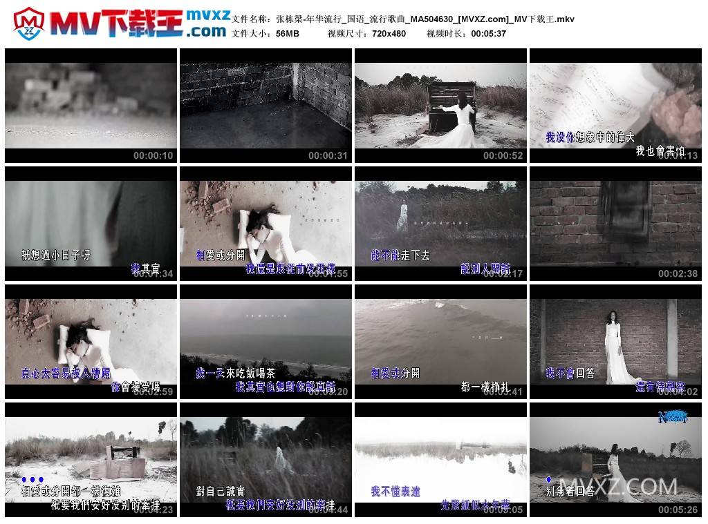 张栋梁-年华流行_国语_流行歌曲_MA504630